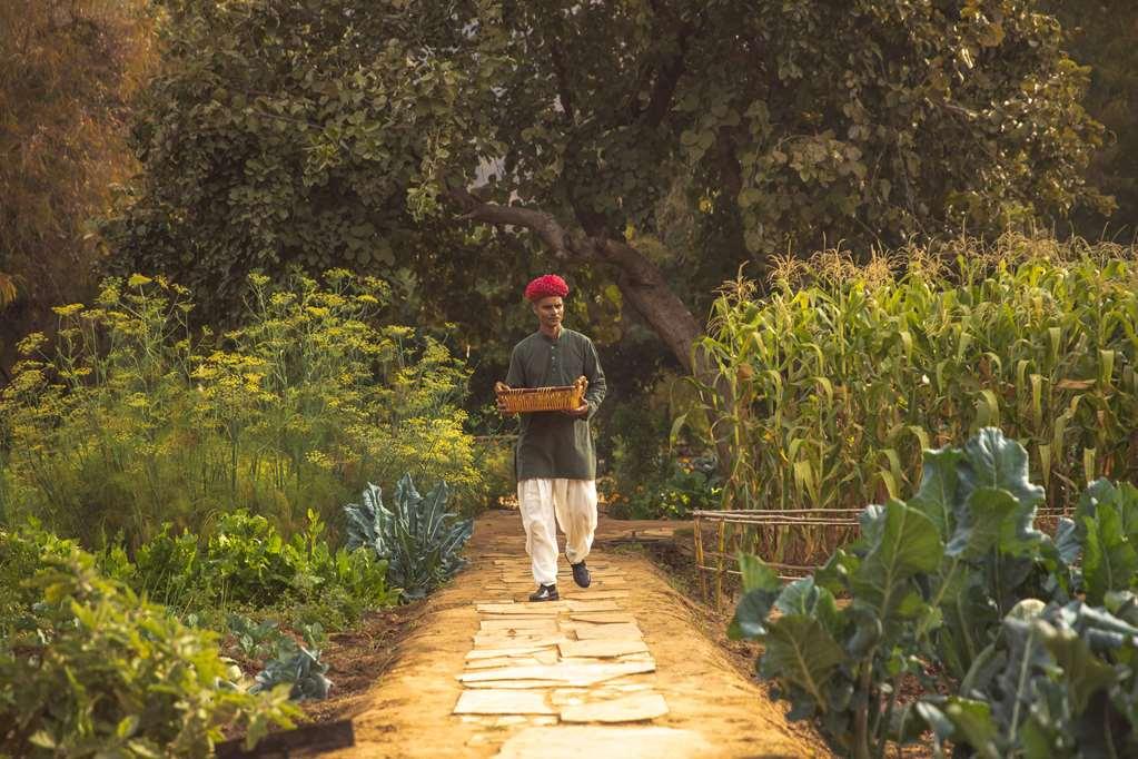 Amanbagh Hotel Ajabgarh สิ่งอำนวยความสะดวก รูปภาพ